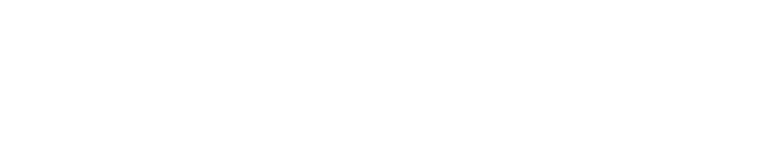 EV Logo WHITE.png EV Logo WHITE.png