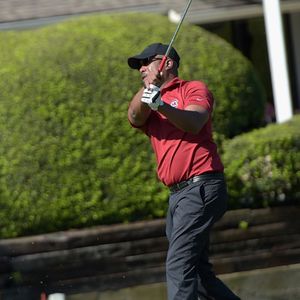 470241036.jpg 470241036.jpg