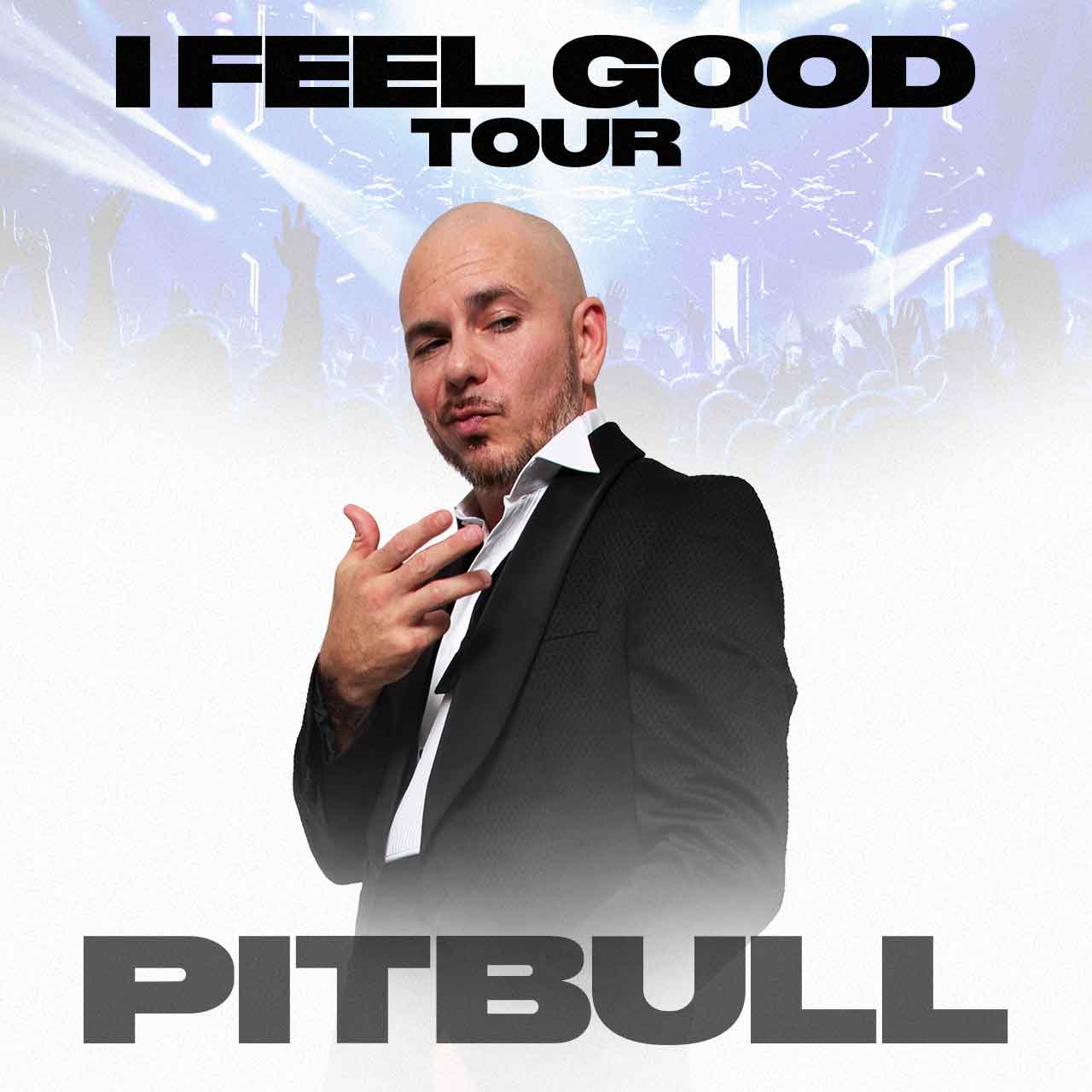 Pitbull Concerts 2021 Pitbull Dog