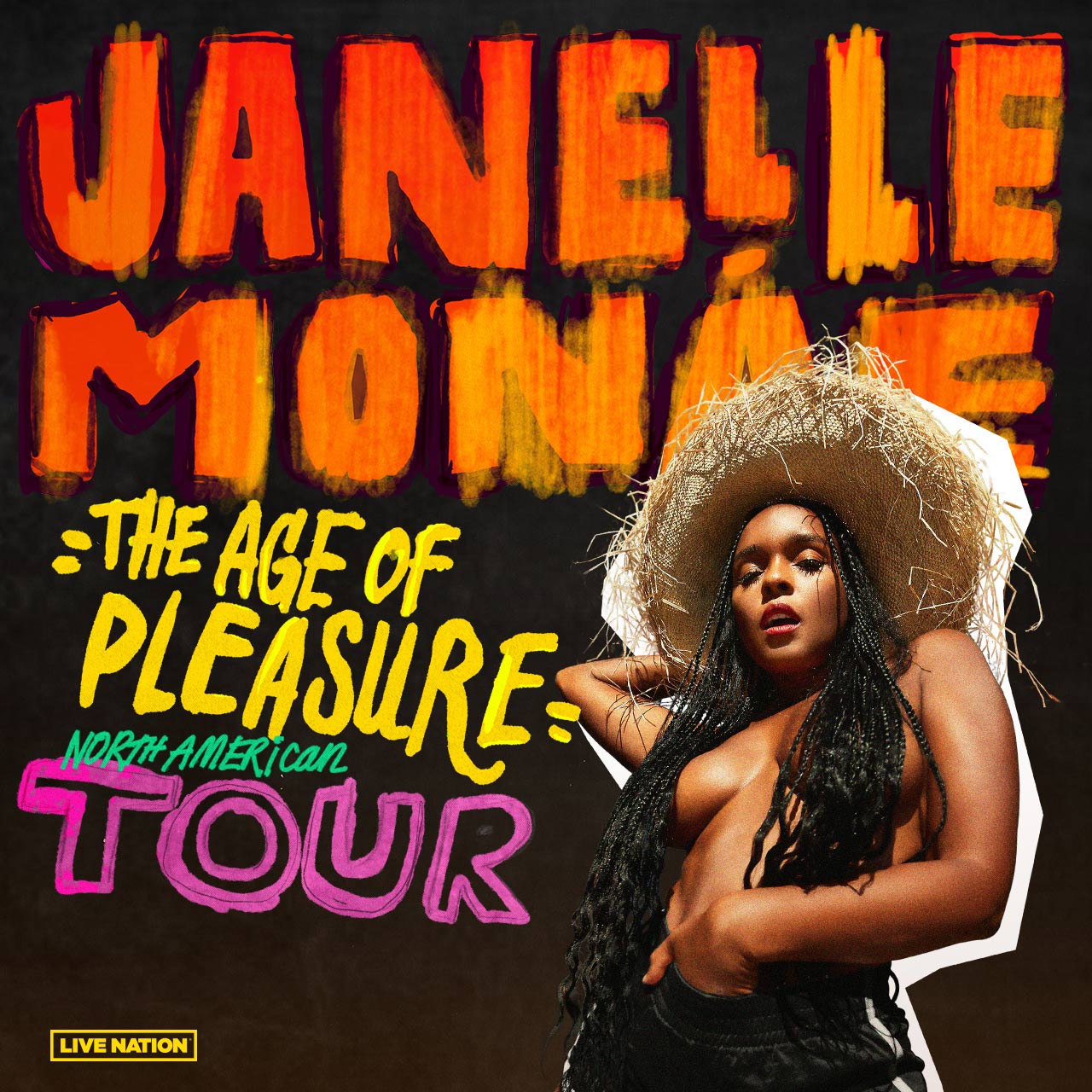 The Age of Pleasure North American Tour