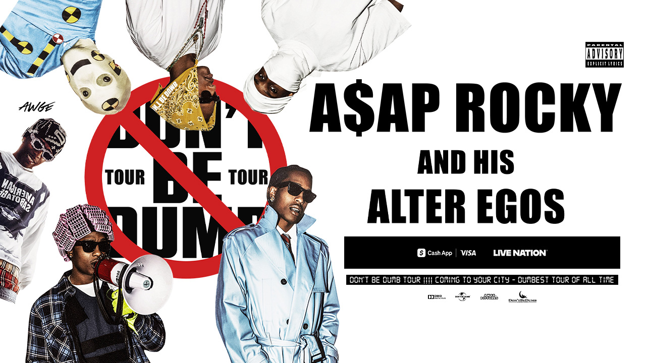 Don't Be Dumb World Tour