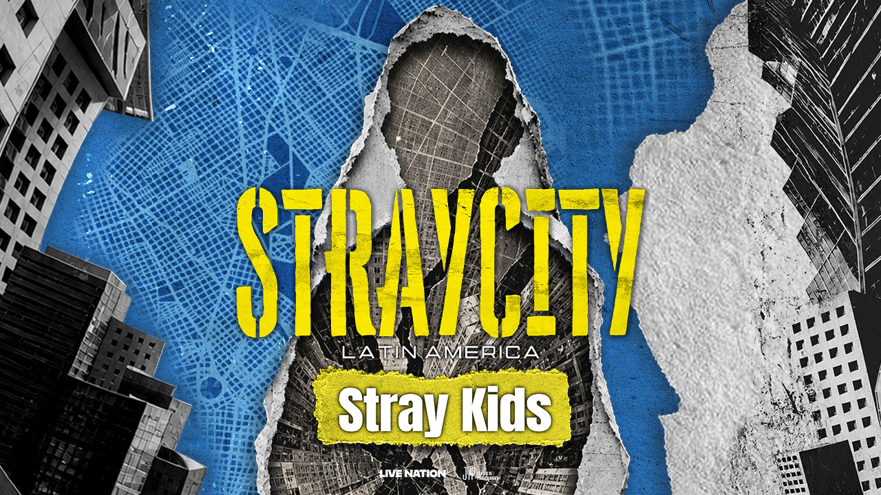 STRAYCITY