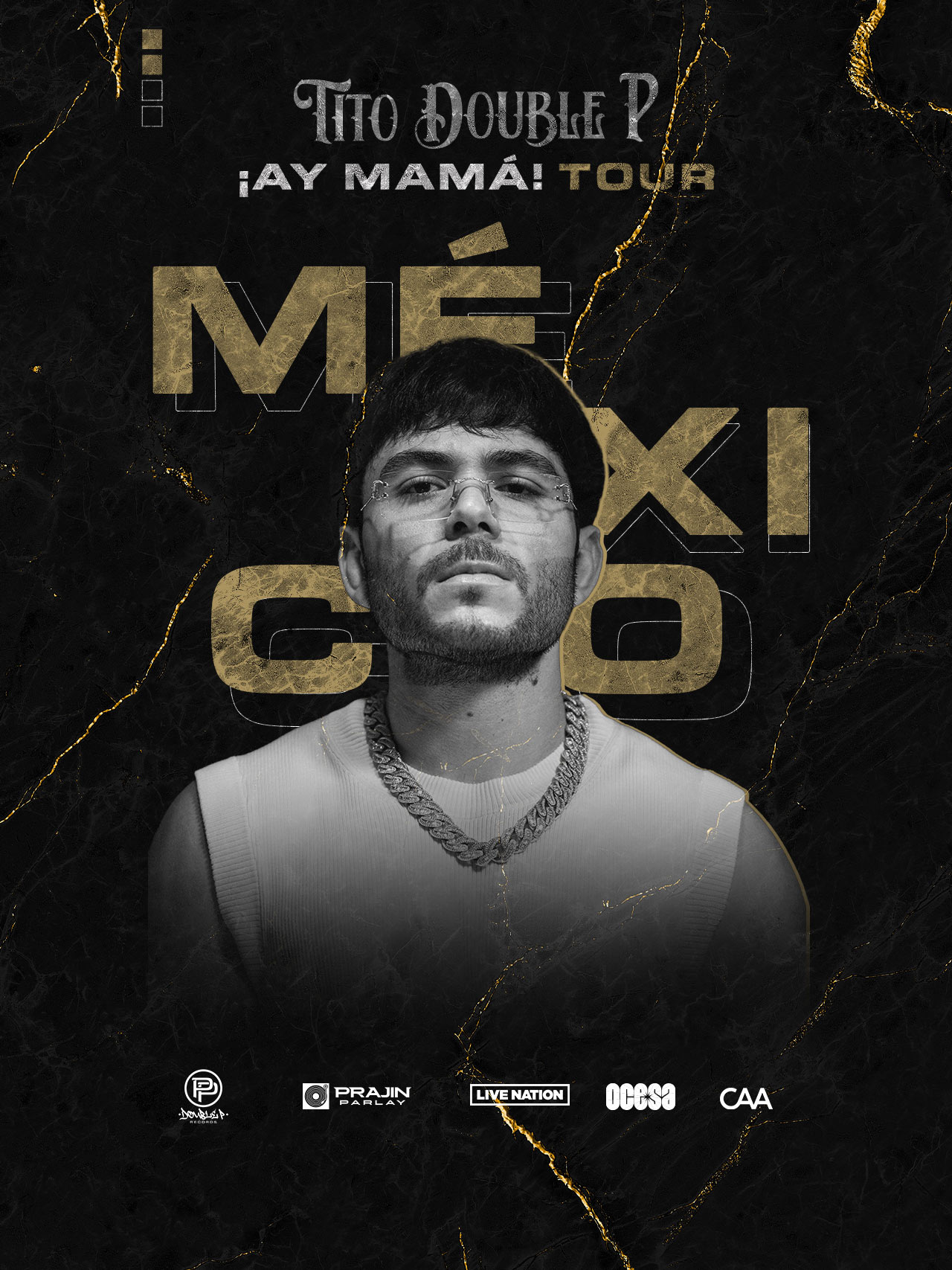 Artist - Tour