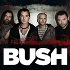 Bush 2011