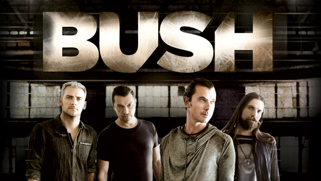 Bush 2013