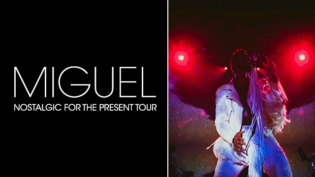 Nostalgic for the Present Tour