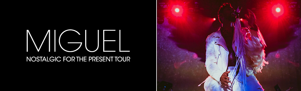 Nostalgic for the Present Tour