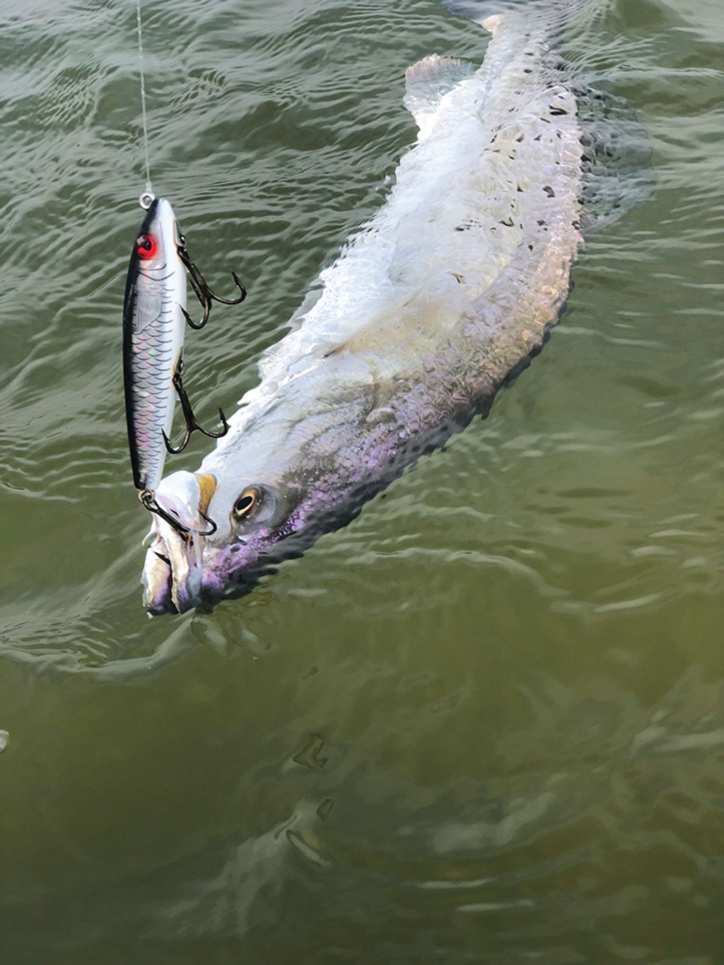 Fly Fishing Houston' author takes us on a wade around Houston