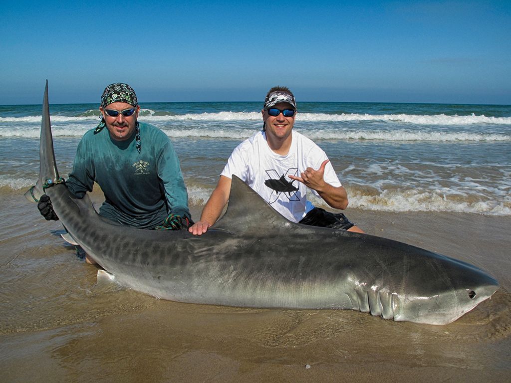 Shark Fishing in Galveston - Fishing Galveston TX