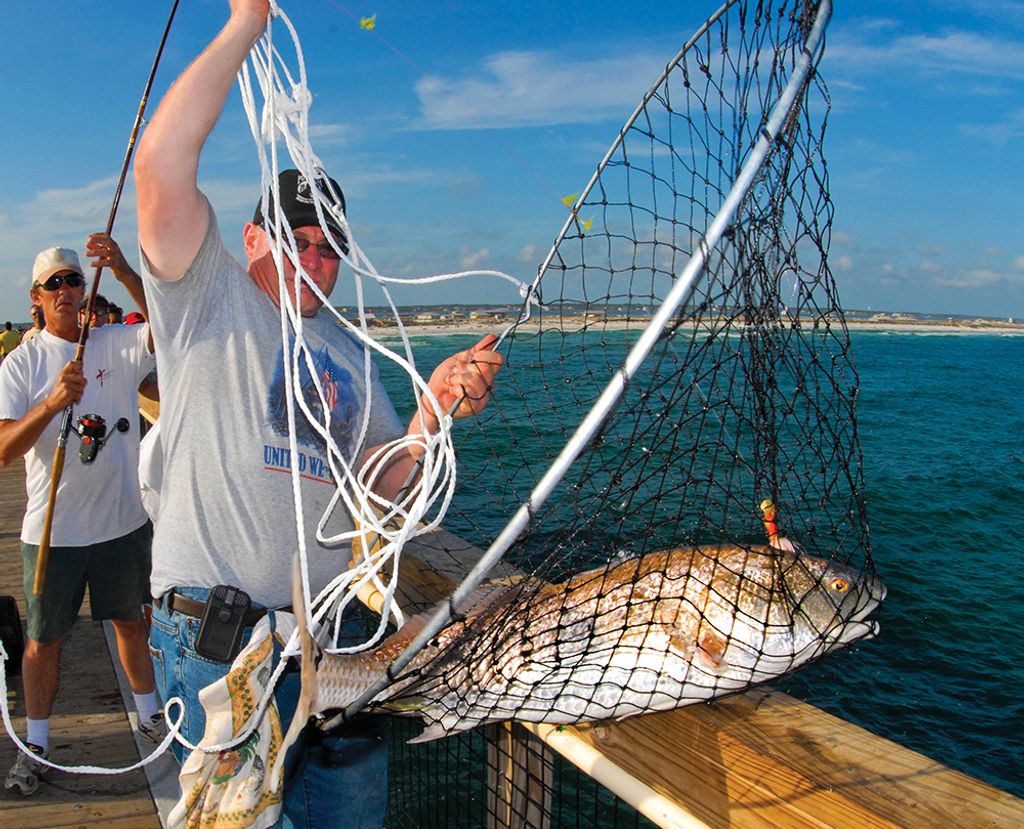 What are some tips for fishing with live bait off a pier or dock