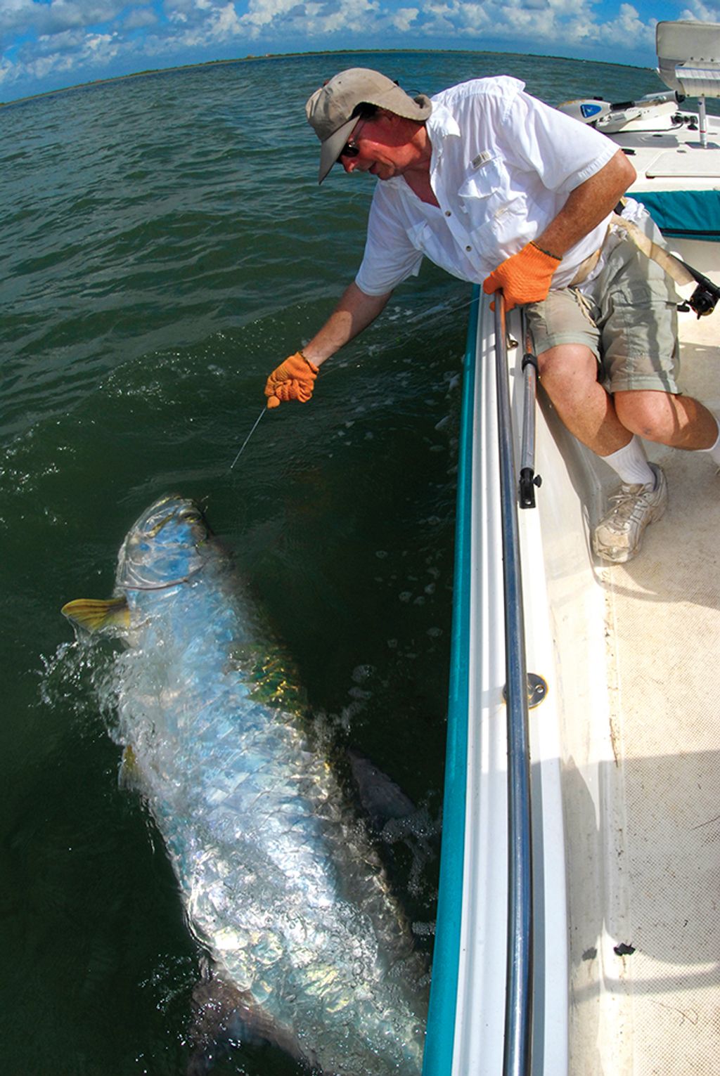 What do you look for in a Tarpon reel?