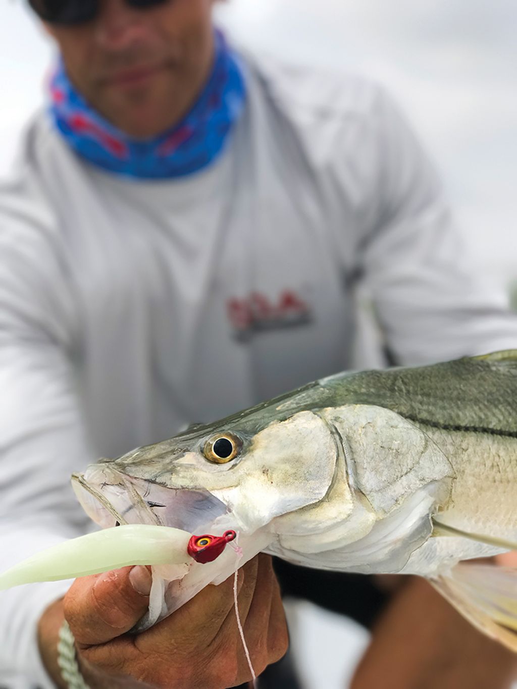Sonar's Favorite 5 Baits — Sweetwater Fishing Blog