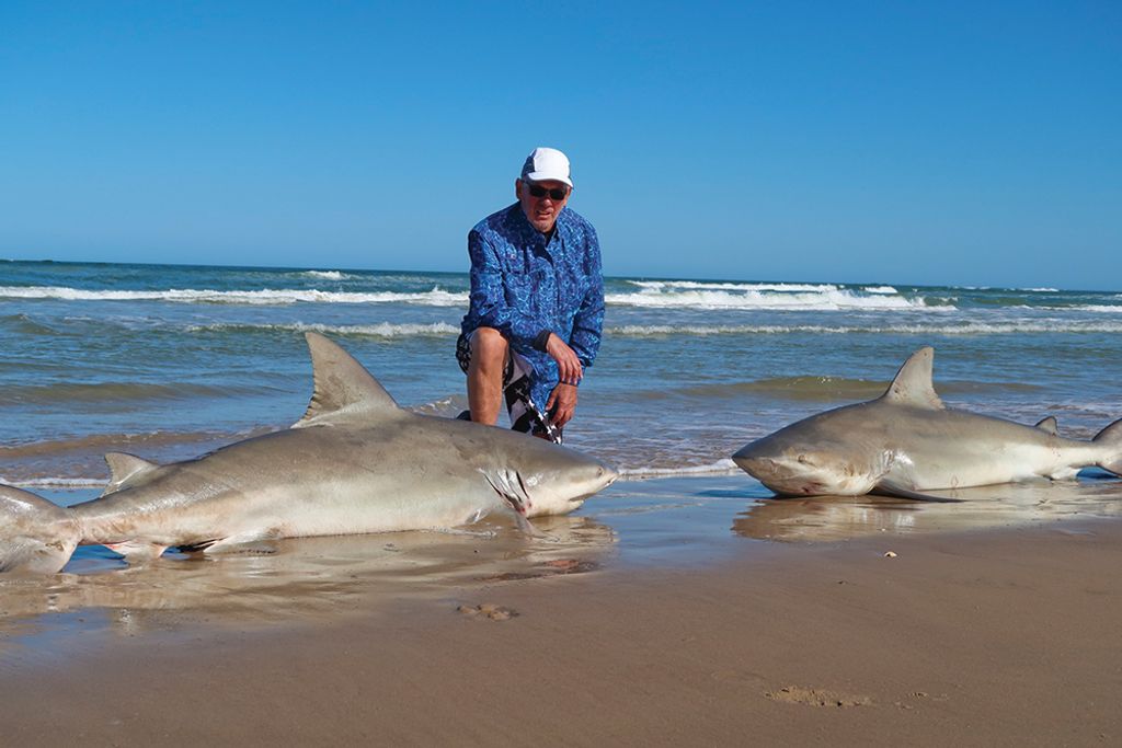 Sharks in the Sand - Texas Fish & Game Magazine