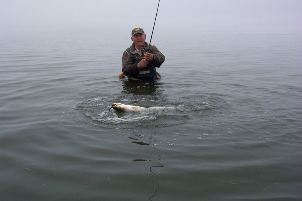 Winter Trout Game Planning