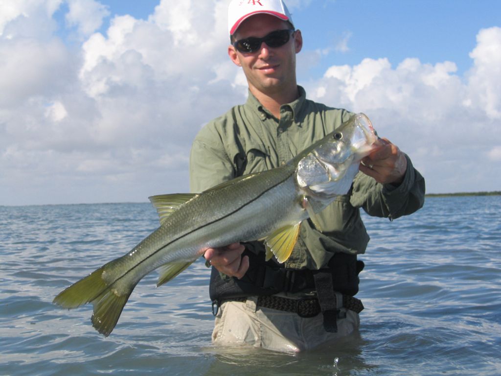 Snook - Winter Lure Fishing Techniques