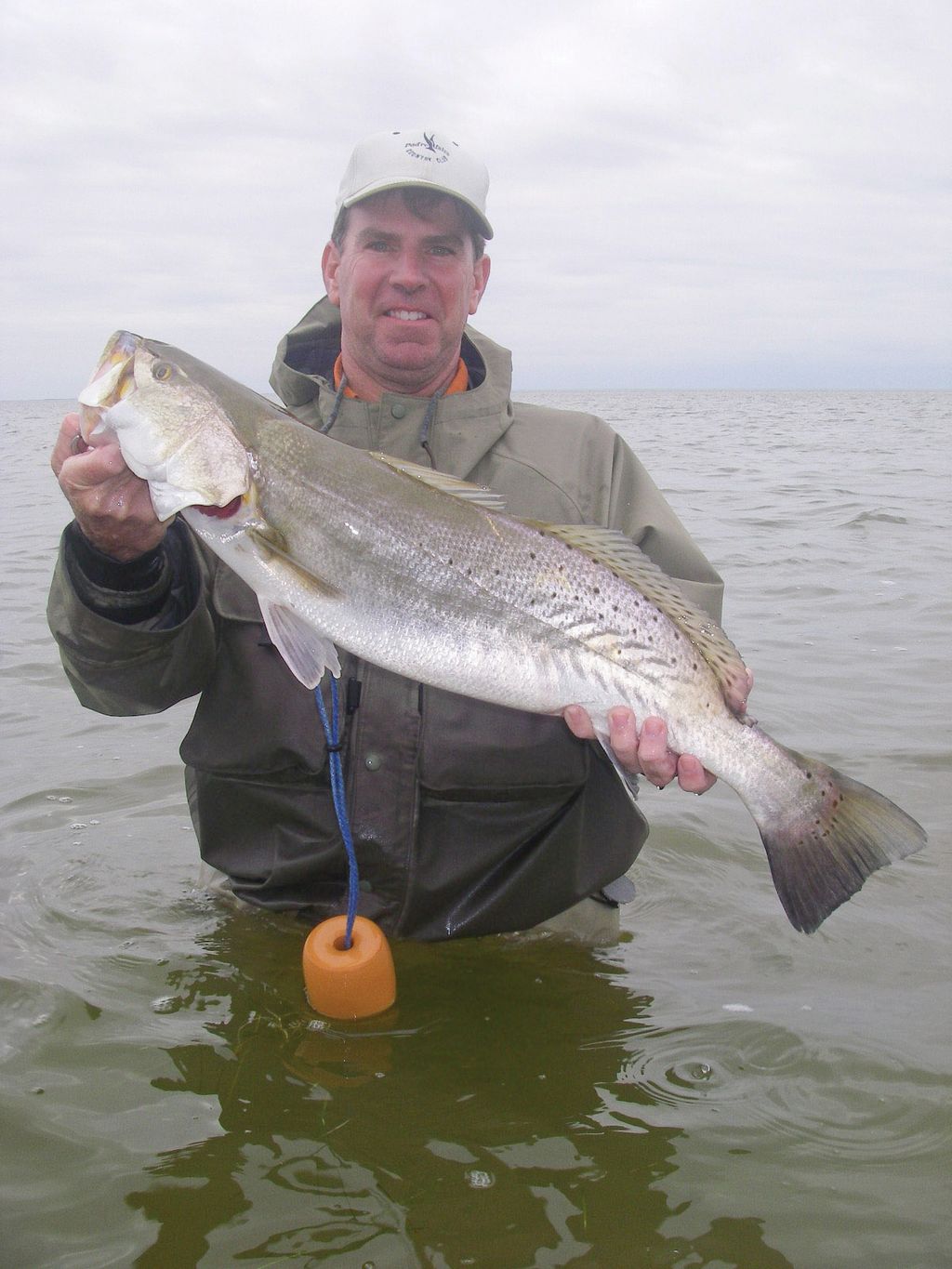 Hooked Up: February 2014