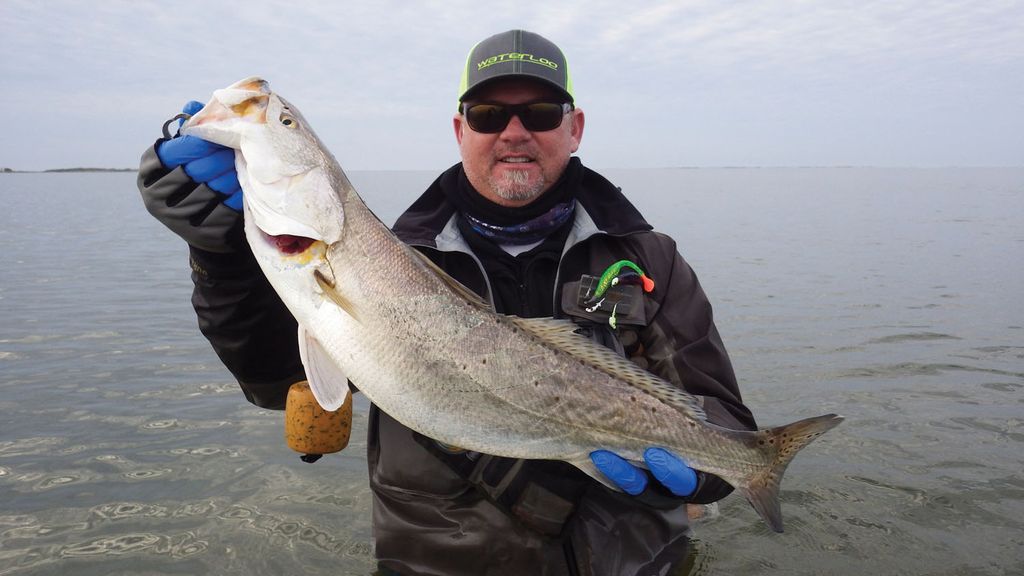 Hooked Up: February 2016