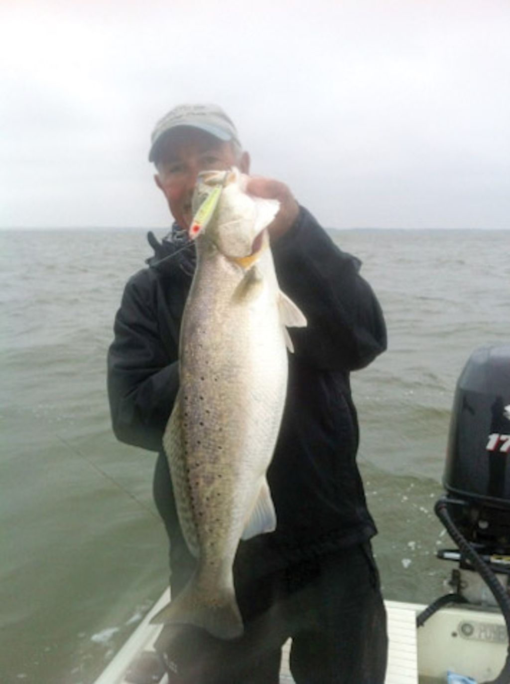 FISH ID? Galveston TX : r/saltwaterfishing