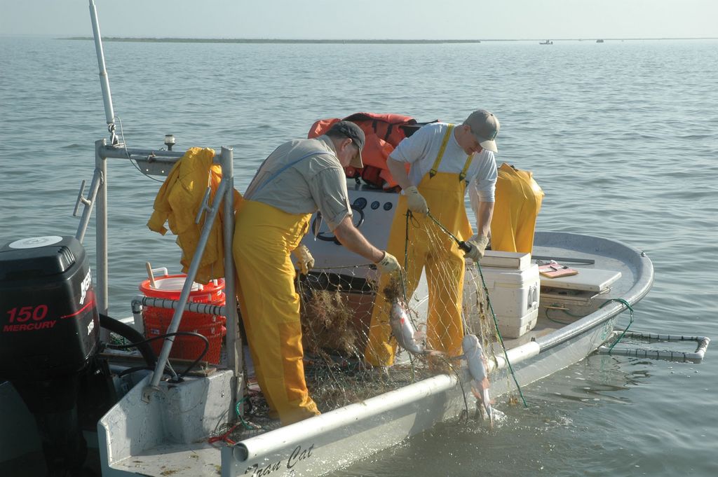 Meeting on automated system for anchored gill net fishery will be held in  Hatteras on May 9