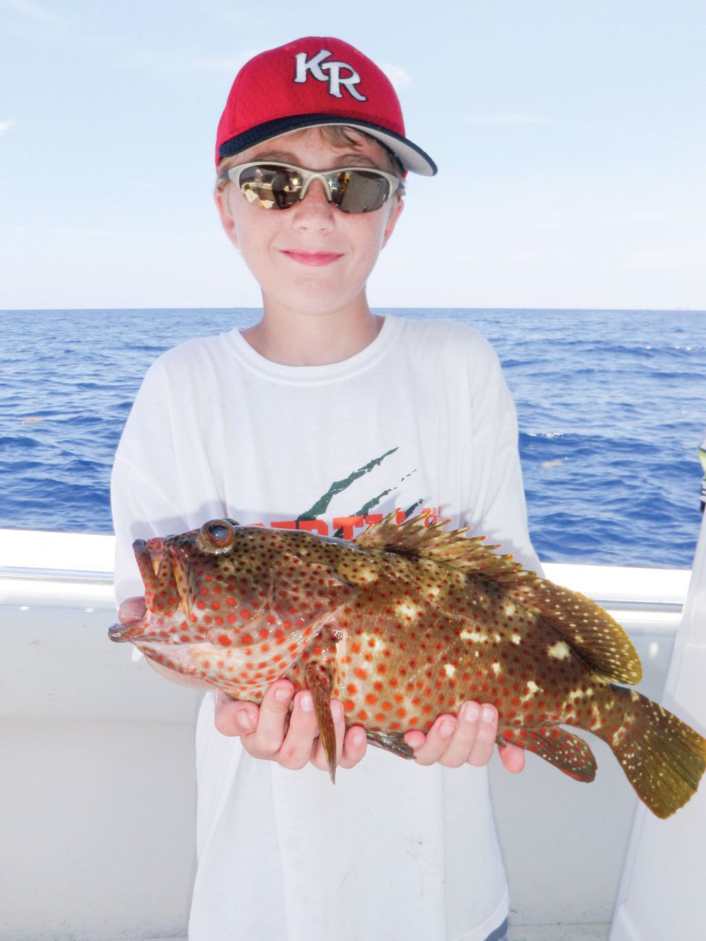 Targeting Alternative Snapper