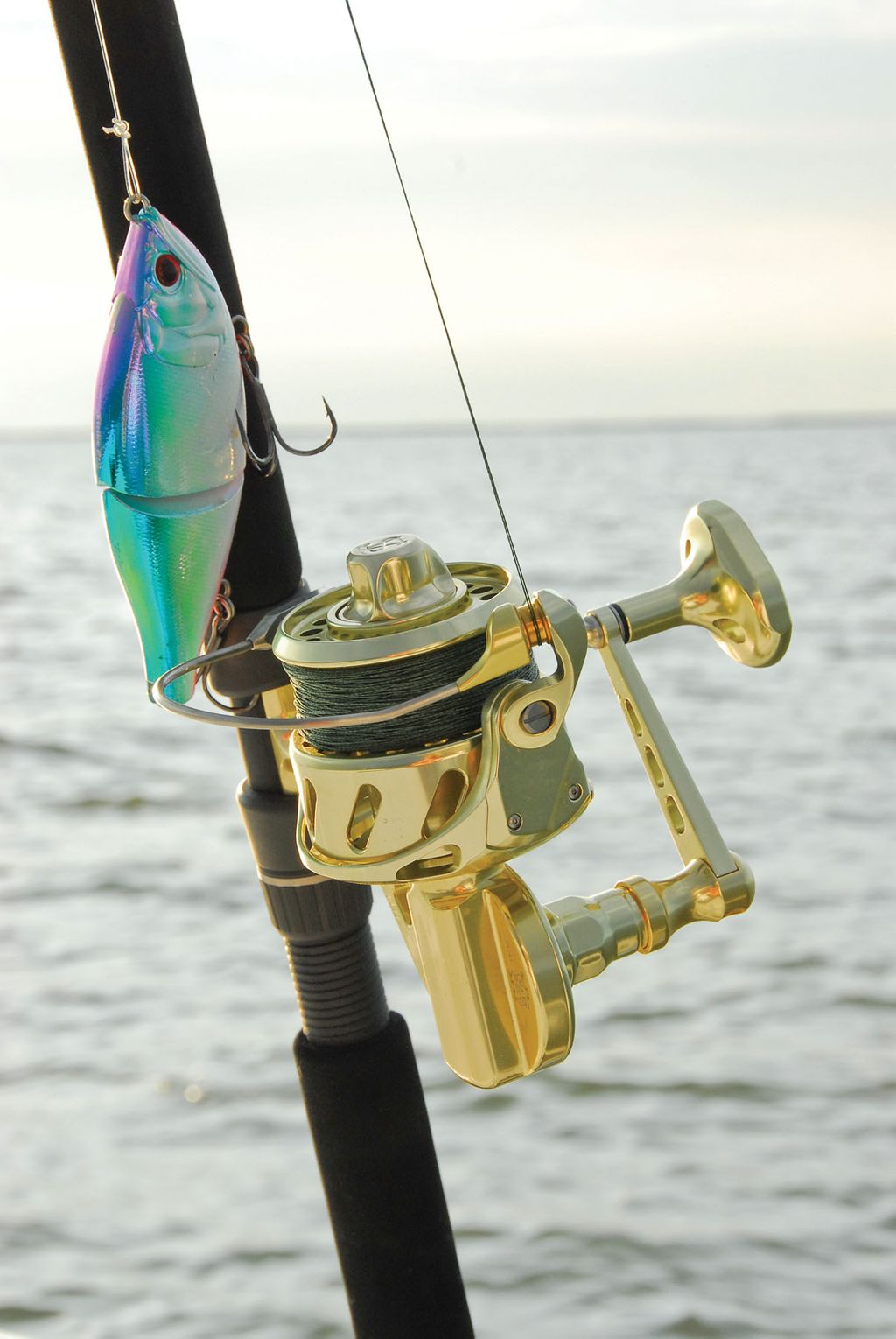 What to Look for in a Great Saltwater Spinning Reel - Texas Fish