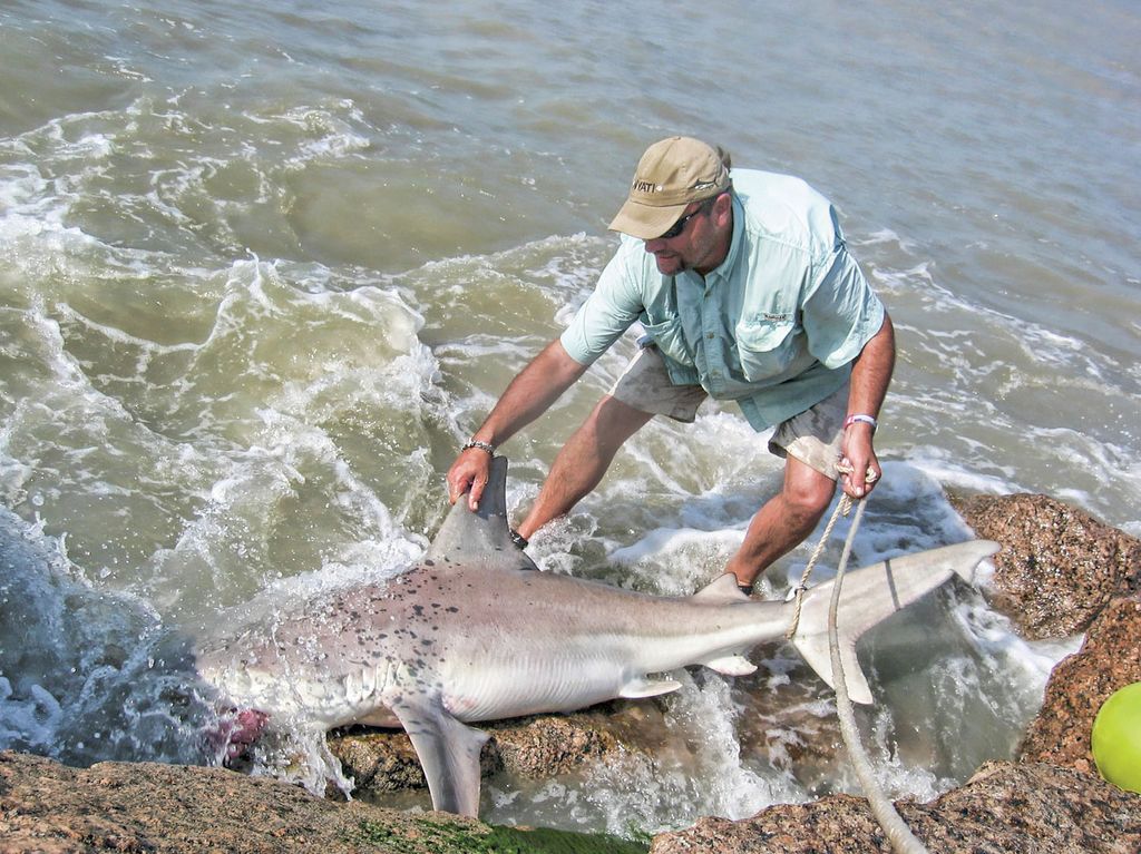Caught Ovgard: Shark fishing is not for the weak — or timid, Outdoors
