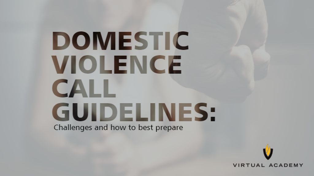 domestic violence training 2022