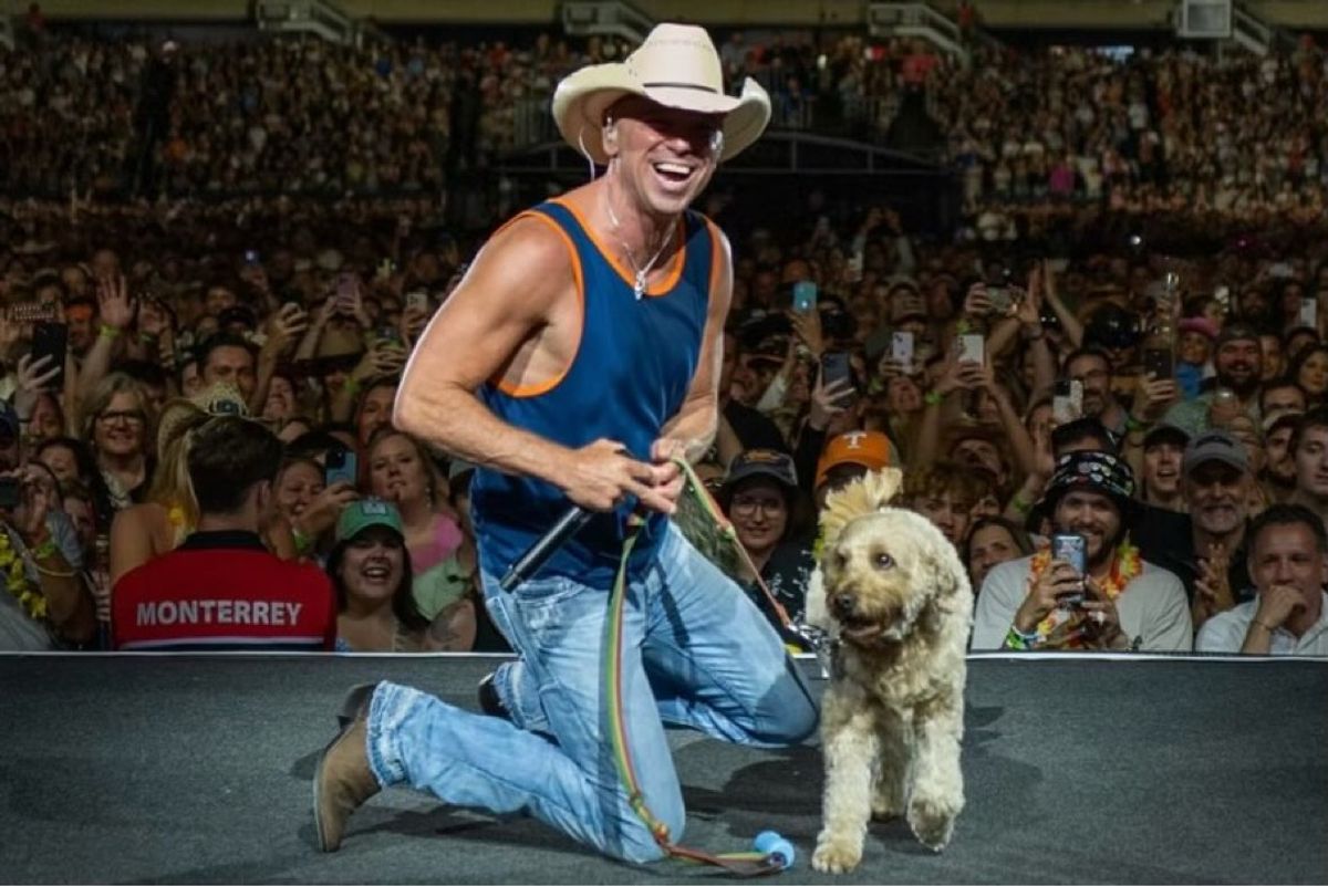 IMG_3494.JPG IMG_3494.JPG