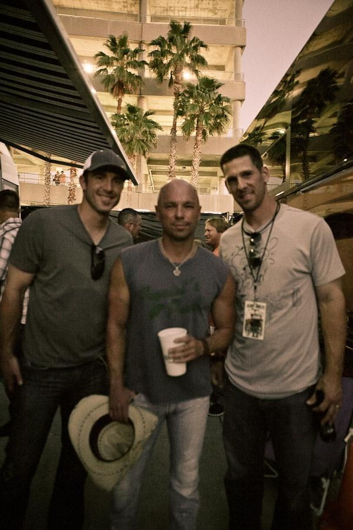 Palm Trees Palm Trees