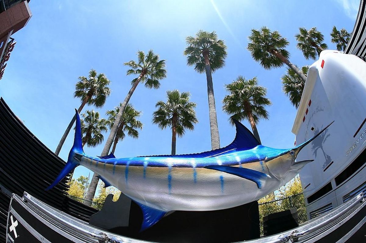 sword fish and palm trees sword fish and palm trees