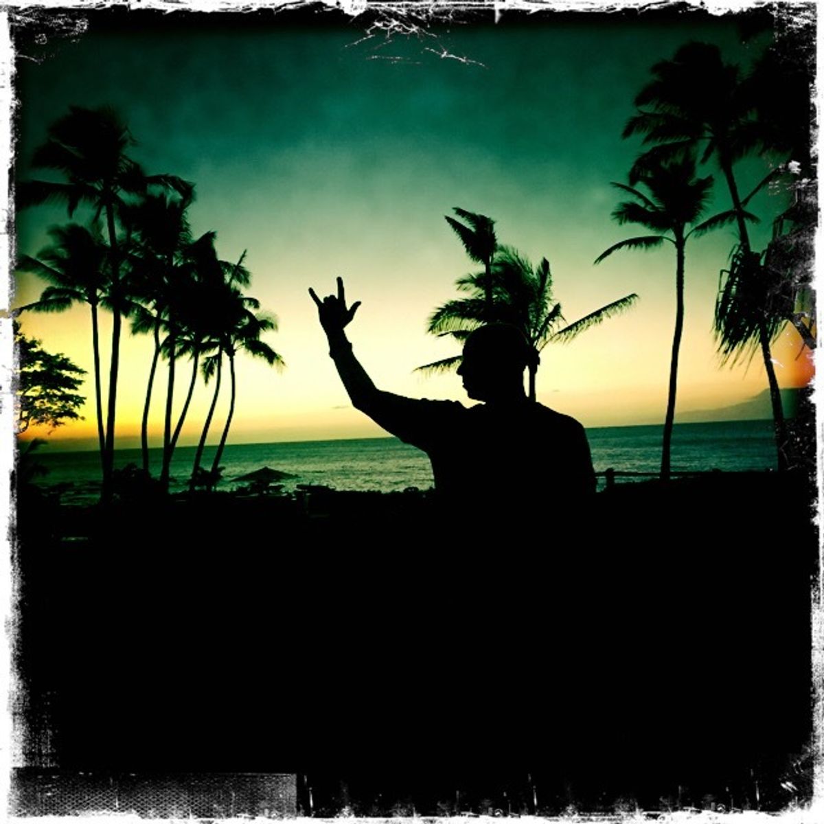 Wish You Were Here Wish You Were Here