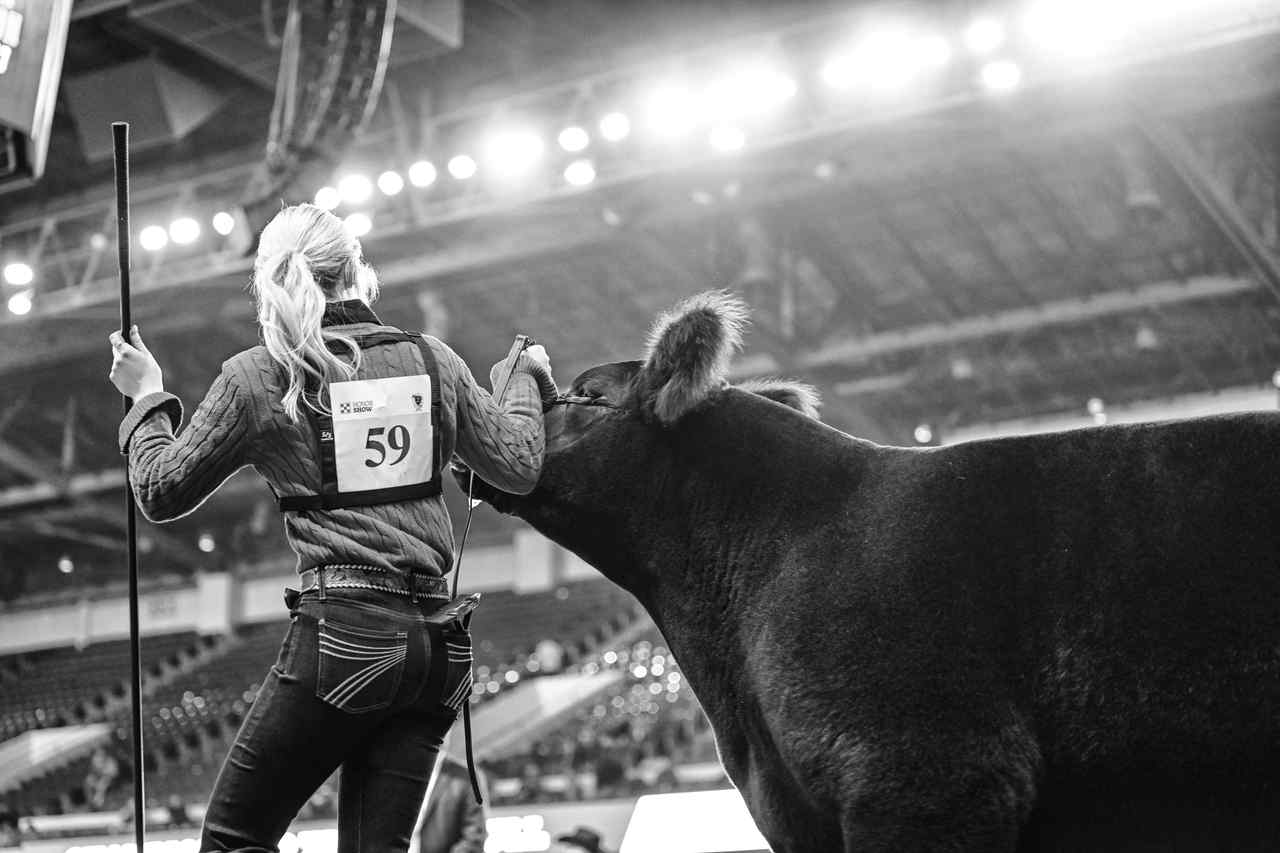 2026 NAILE Judges Announced