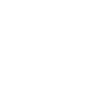 Wonderfront Festival