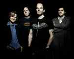 Gin Blossoms