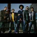 The Roots