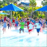 Making a Splash at the Polar Plunge