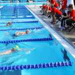 Shining the Light on Broward County Swimmers