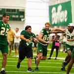 Running with the USF Bulls