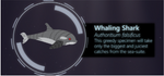 Marine Lowlifes: Whaling Shark