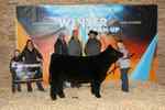 14._ring_b_only_5th_overall_steer_ch_sh_plus_colton_huls_6618_1590762954.jpg