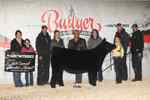 26_4th_overall_steer_ch_market_hfr_hannah_noonan_6610_1590762865.jpg