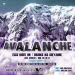 Avalanche_Proof.jpg
