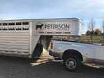 Truck & Trailer Lettering