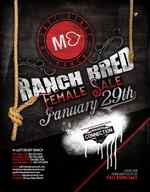 M_Lazy_Heart_Ranch_Bred_Female_Sale_2020_Page_Ad.jpg