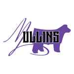 Mullins logo