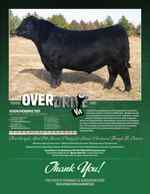Pages from Vision Angus 2020 Catalog