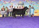 reserveoverall_championjunioryearling_vanvliet_6672_1590764034.jpg