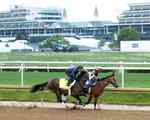 Toby Keith’s Dream Fulfilled  With Horse Going to the Kentucky Derby