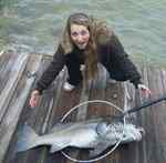 Chelsea Bousquet Rockport52&quot; drum