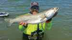 Scott McDonald Baffin Bay - 29.25" 9.1 lb trout CPR, caught on a corkie
